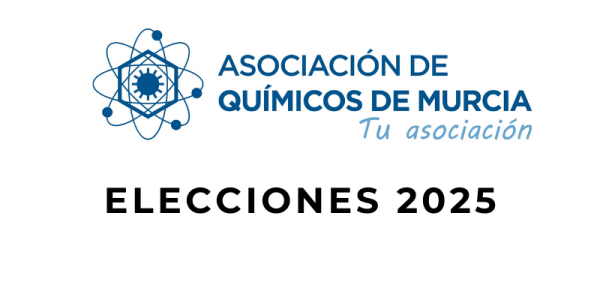 ELECCIONES 2025